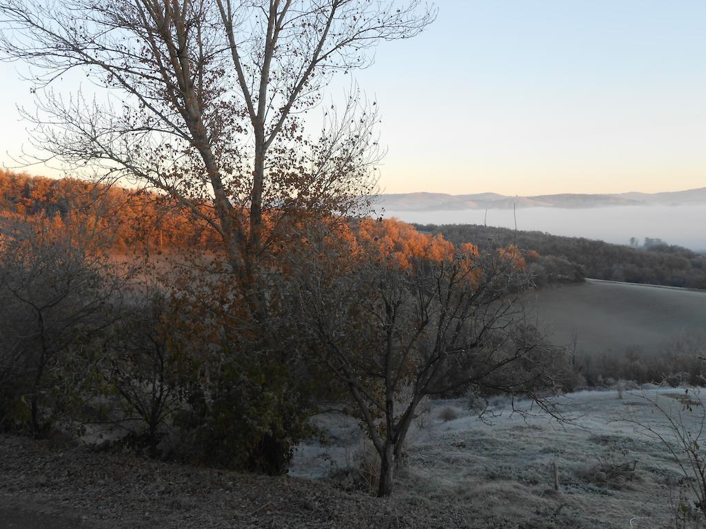 Gite Des Monts Saint-Izaire Eksteriør bilde