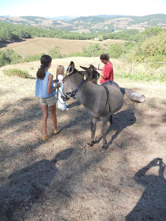 Gite Des Monts Saint-Izaire Eksteriør bilde